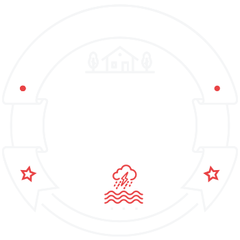 Budget Friendly